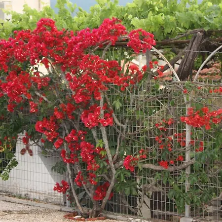 Melissani * Sami (Kefalonia)